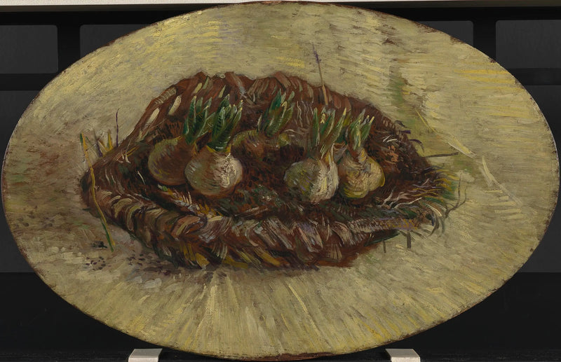 Cesta de bulbos de jacintos - Vincent van Gogh