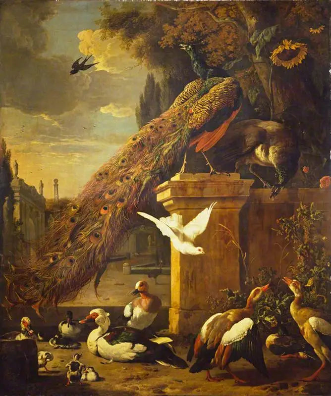 Pavos y patos - Melchior de Hondecoeter