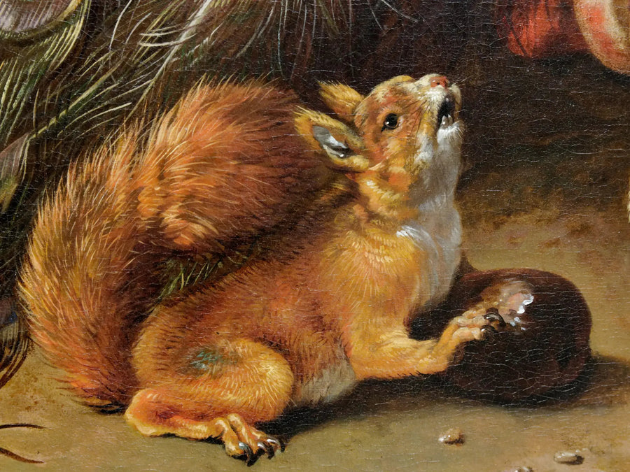 Pavos - Melchior de Hondecoeter