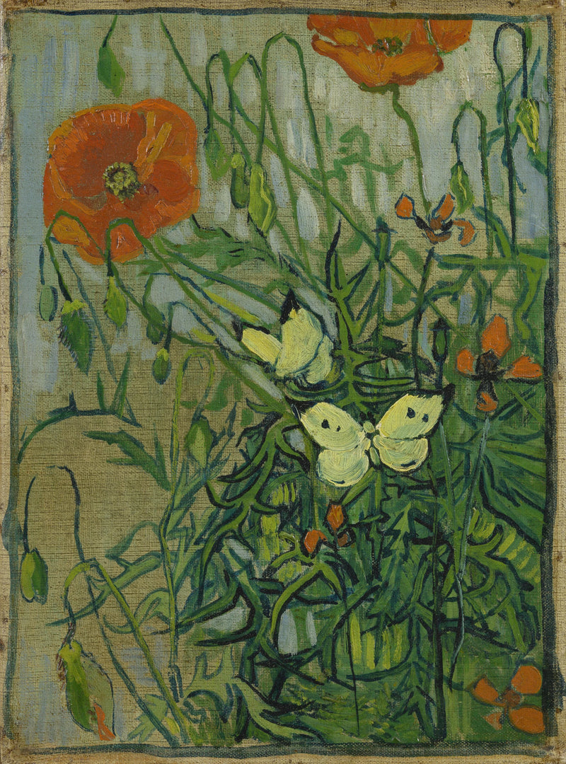 Mariposas y amapolas - Vincent van Gogh