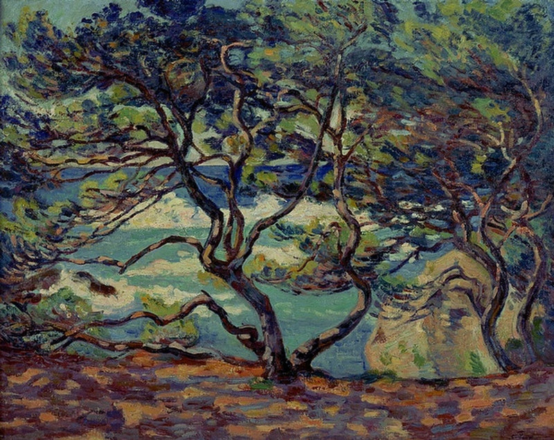 Sombrilla Le Pin, Le Brusc, alrededores de Toulon - Armand Guillaumin