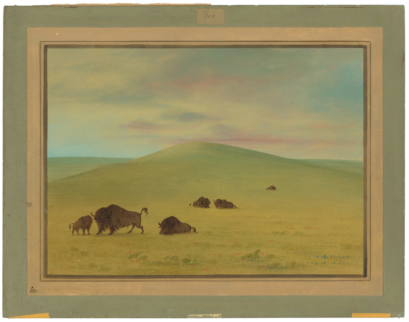 Pastizal estadounidense - Praderas de la Platte - George Catlin