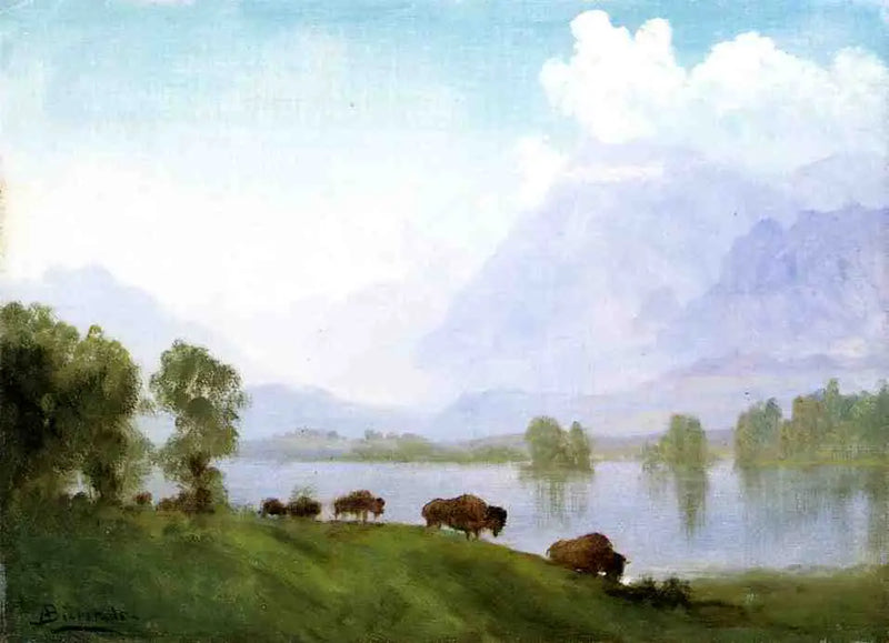 País de los bisontes - Albert Bierstadt