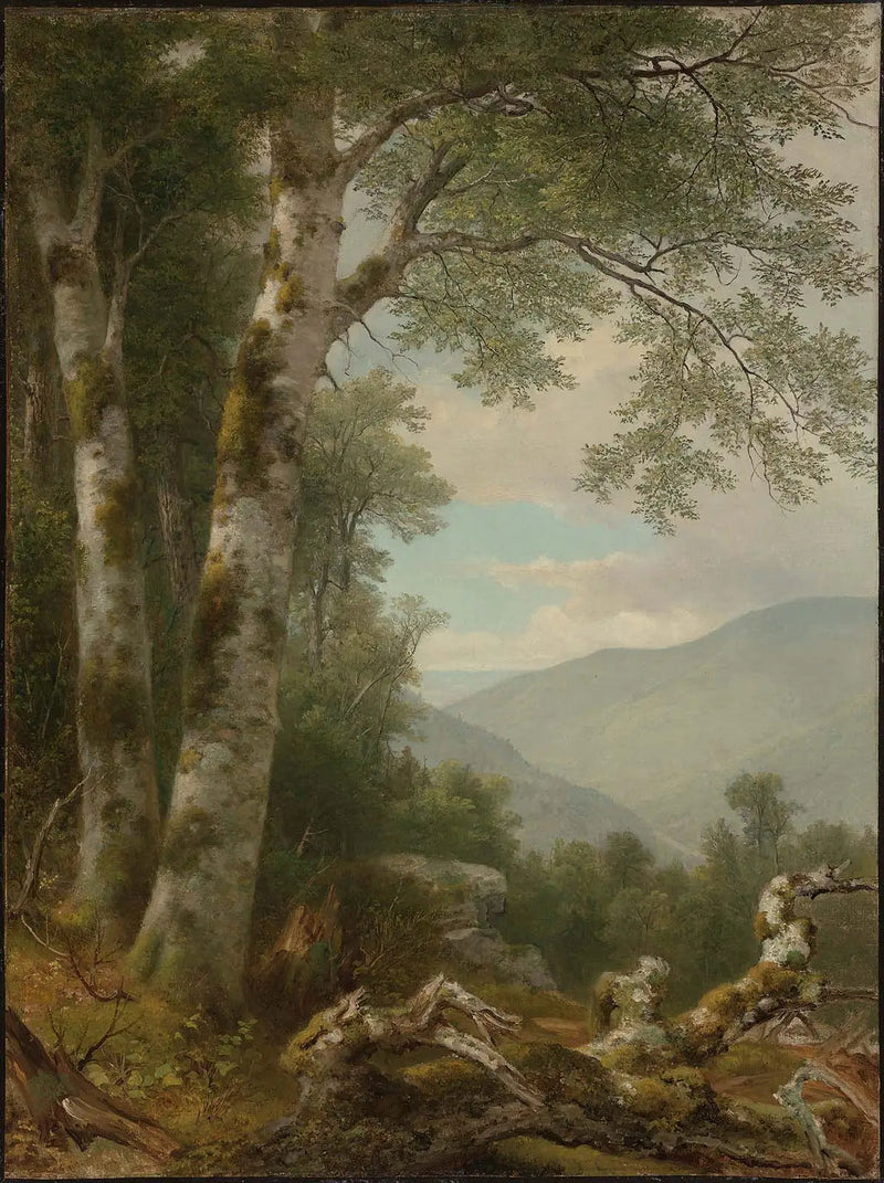 Paisaje con abedules - Asher Brown Durand