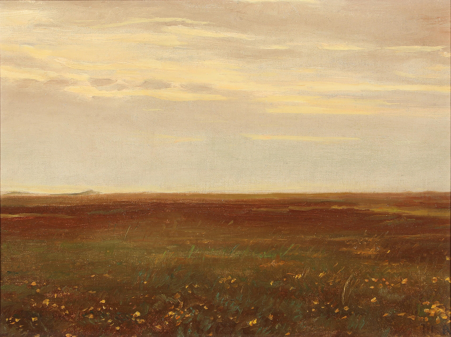 Paisaje con flores silvestres. - Michael Peter Ancher
