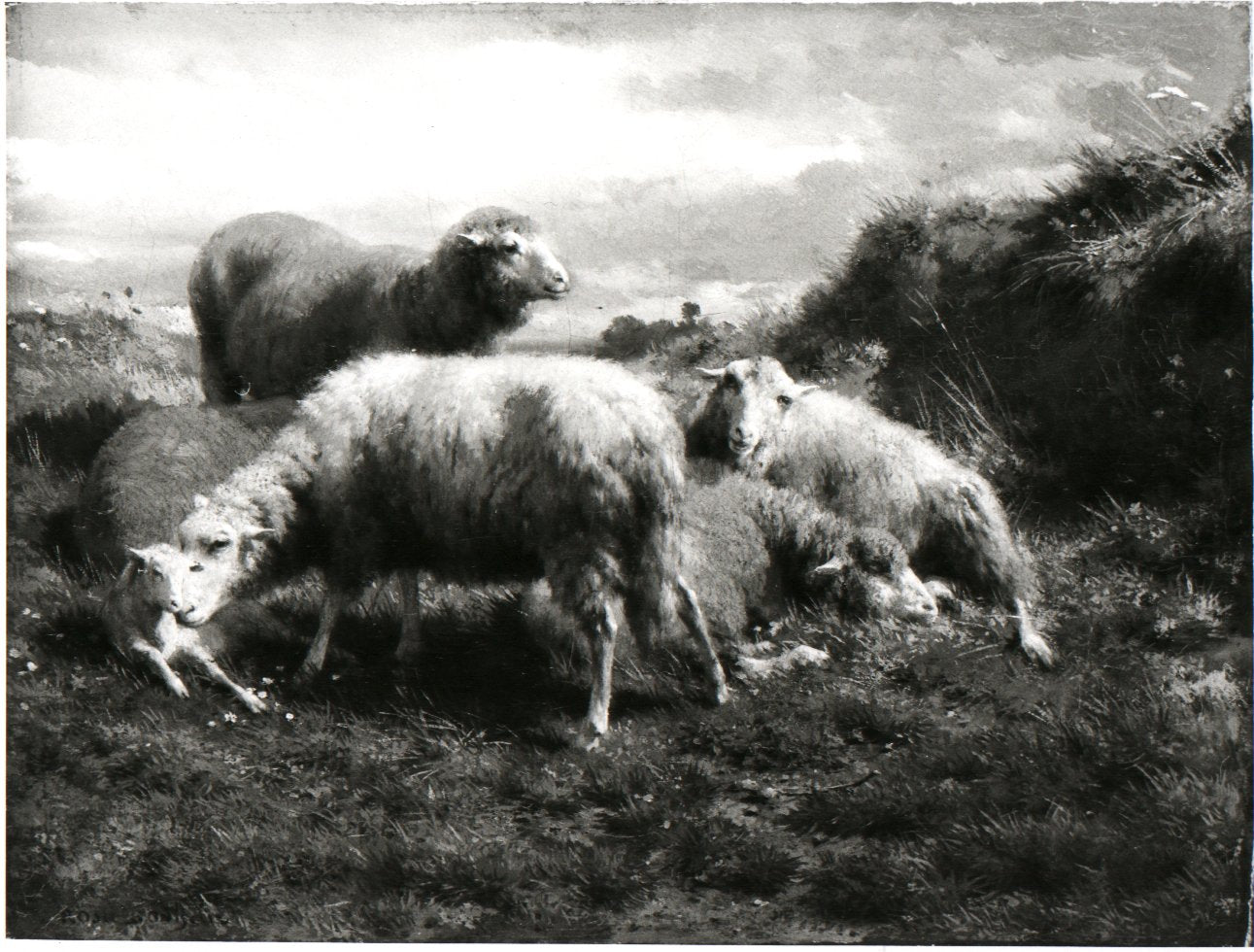 Paysage avec des moutons - Rosa Bonheur - Alpha Reproduction