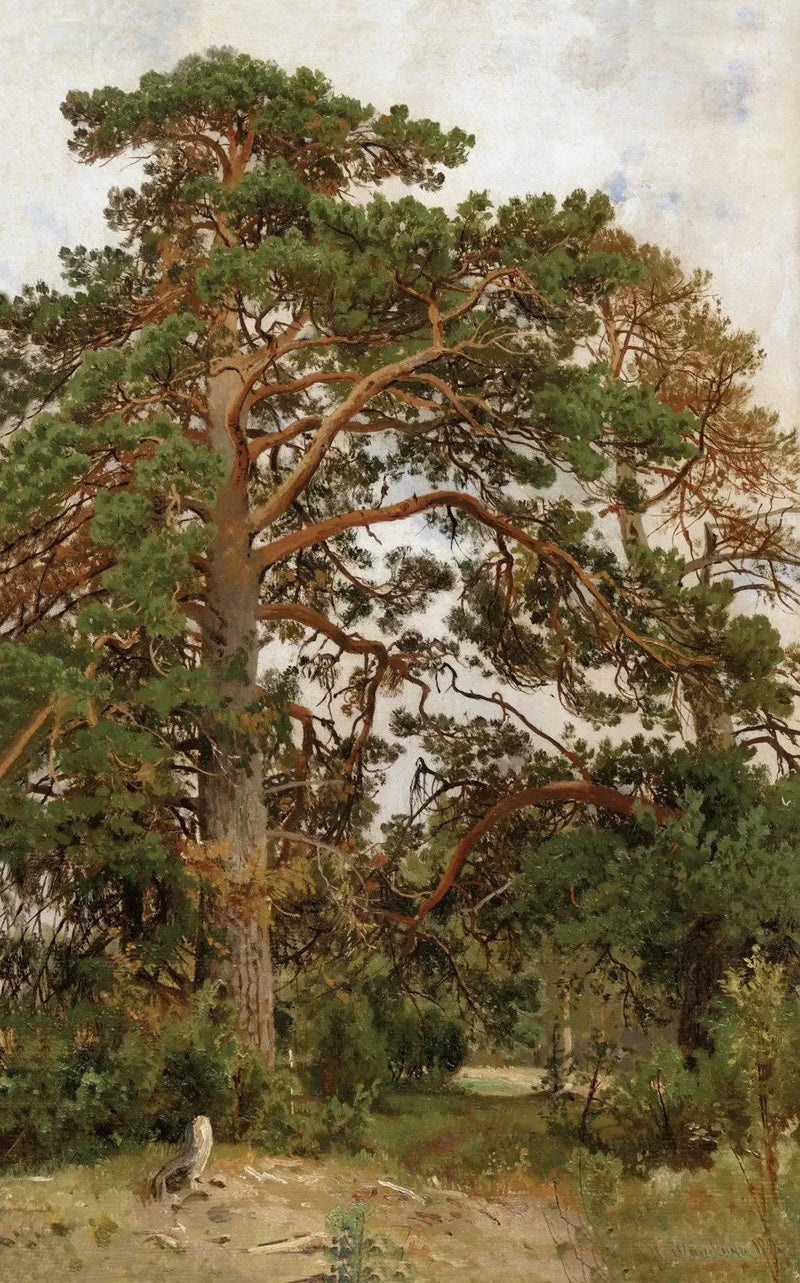 Paisaje con pinos - Ivan Chichkine