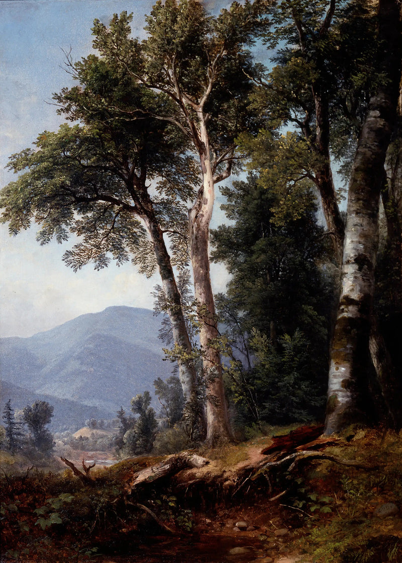 Paisaje boscoso - Asher Brown Durand