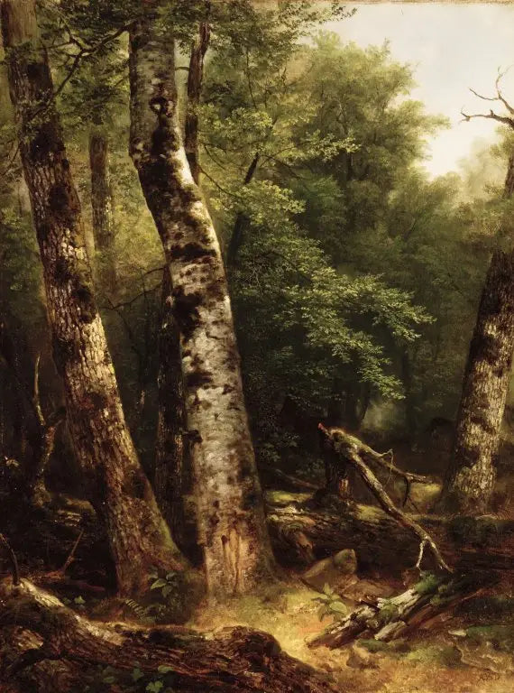 Paisaje (abedules y robles) - Asher Brown Durand