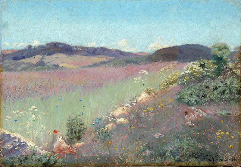 Paisaje de verano danés con amapolas y arándanos. - H. A. Brendekilde