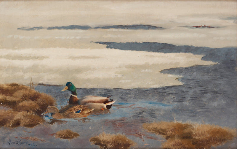 Paisaje invernal con patos silvestres - Bruno Liljefors