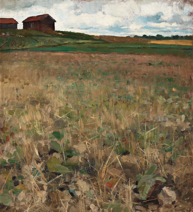 Paisaje de Kvarnbo, Uppland - Bruno Liljefors
