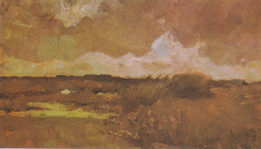 Paisaje pantanoso - Vincent van Gogh