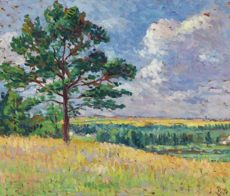 Paisaje cerca de Méréville - Maximilien Luce