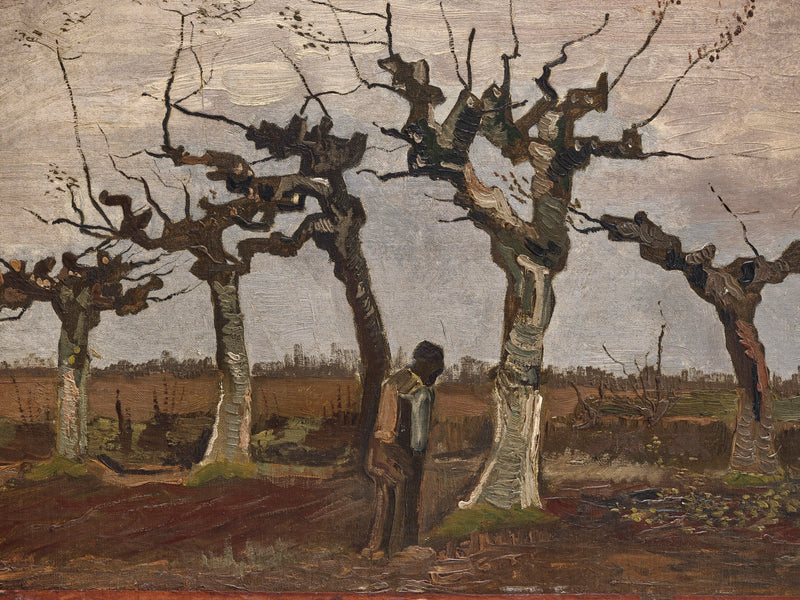 Paisaje con sauces cabrón - Vincent van Gogh