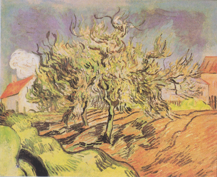 Paisaje con tres árboles y casas - Vincent van Gogh