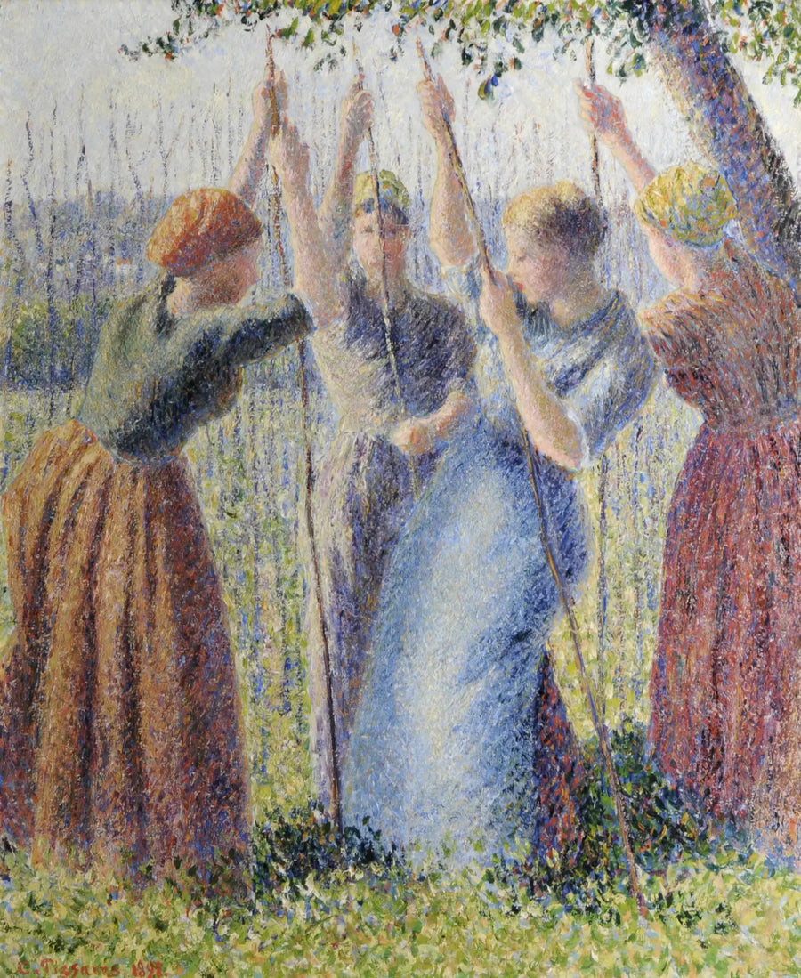 Campesinas plantando ramas - Camille Pissarro