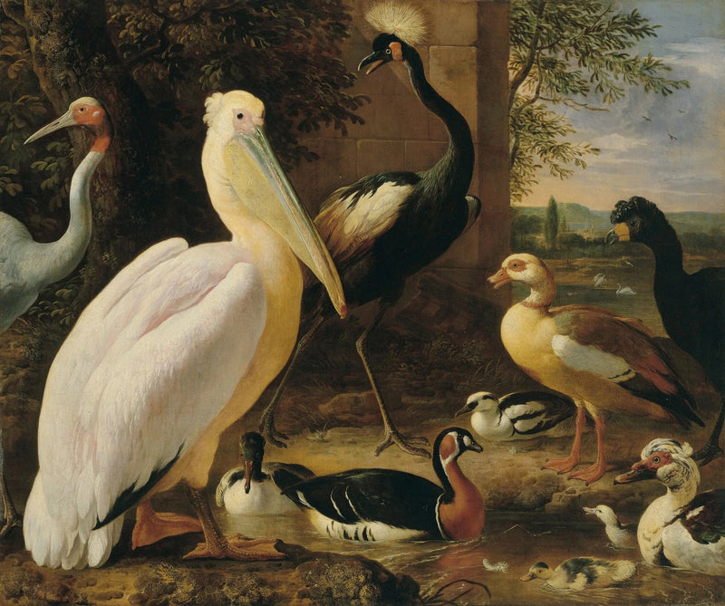 Pelícano, grúa coronada, hocco, grúa antigona y patos en un paisaje fluvial - Melchior de Hondecoeter