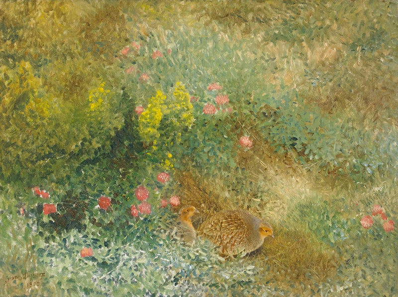 Perdiz gris - Bruno Liljefors