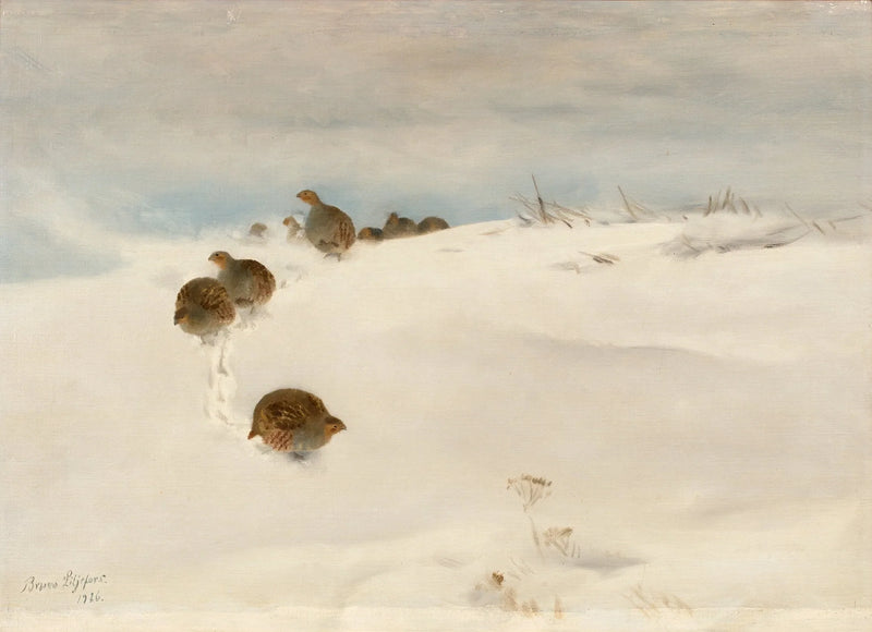 Perdices pardillas en un paisaje invernal - Bruno Liljefors