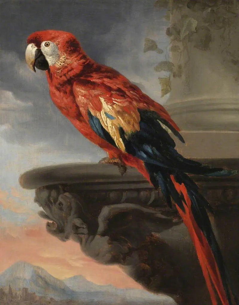 Perico - Peter Paul Rubens
