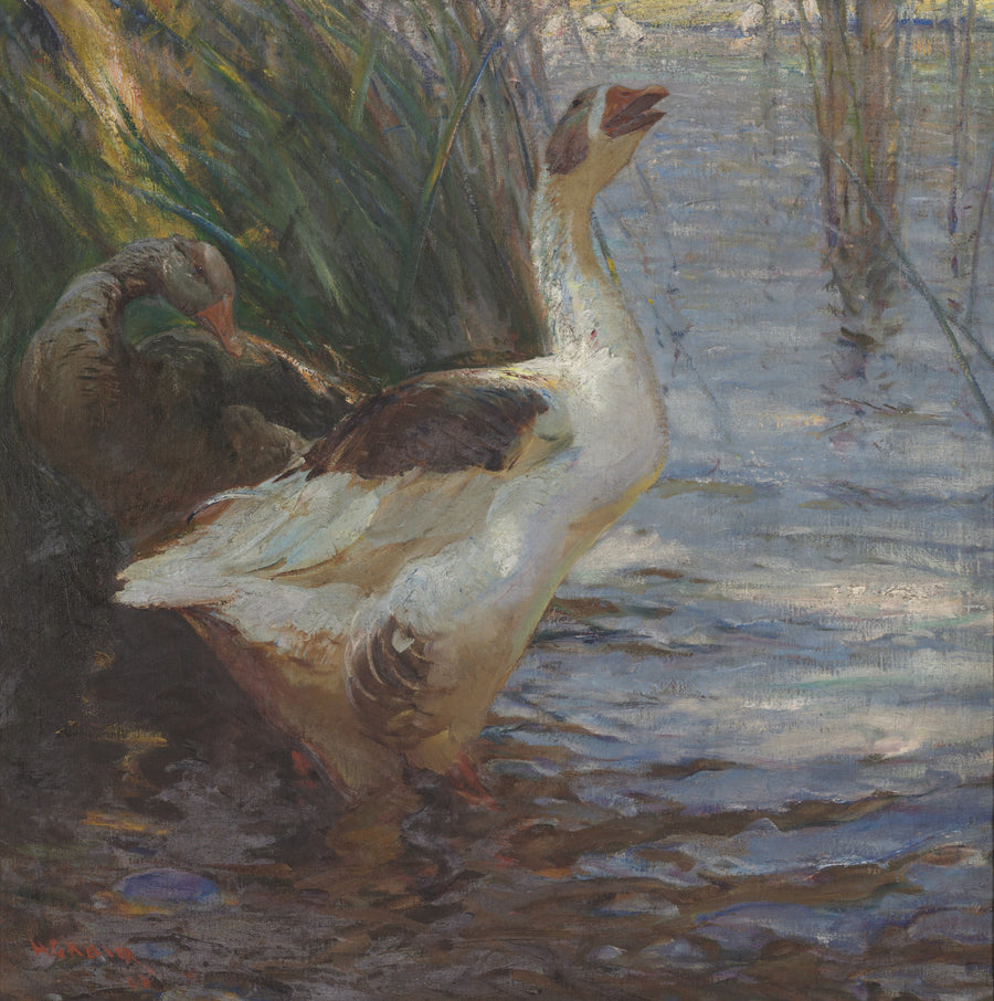 Perturbé - Henry Keller