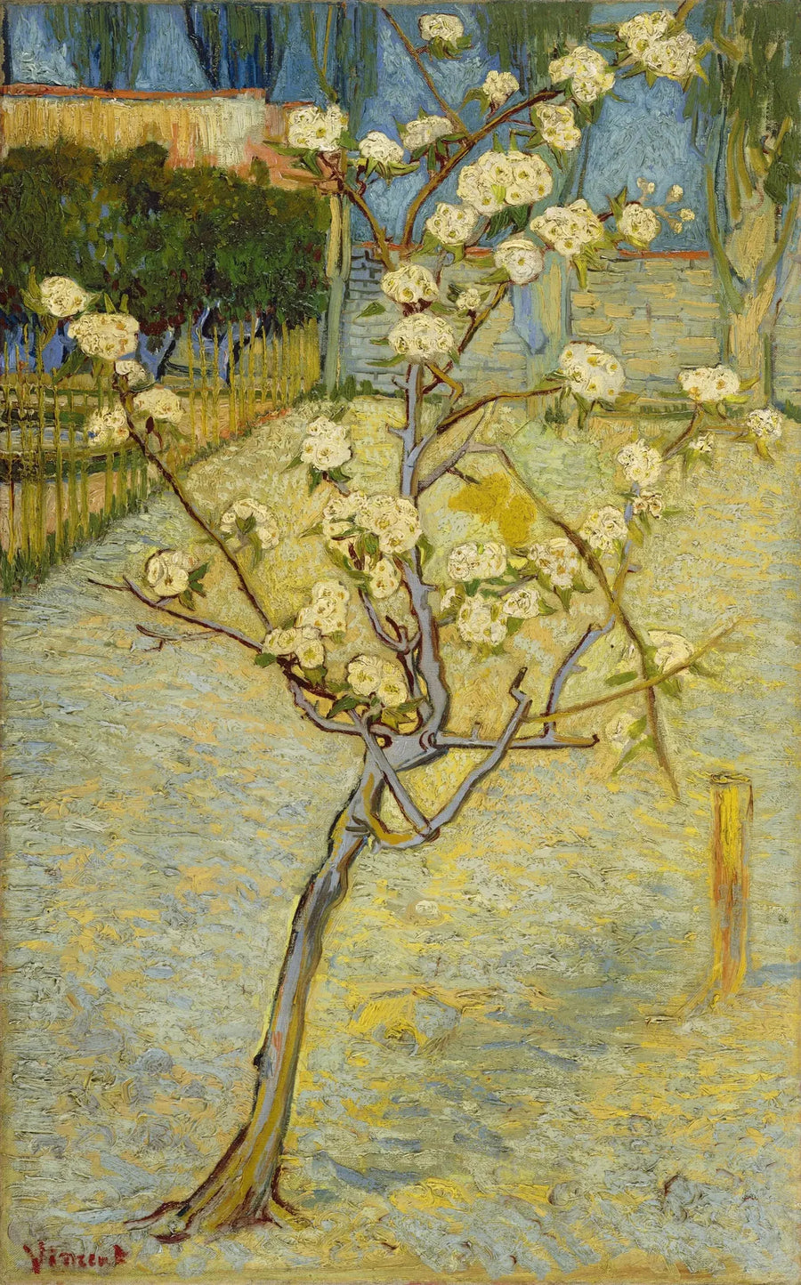 Pequeño peral en flores - Vincent van Gogh