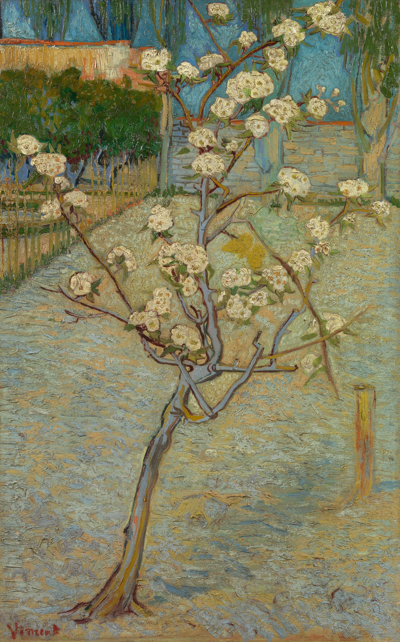 Pequeño peral en flores - Vincent van Gogh