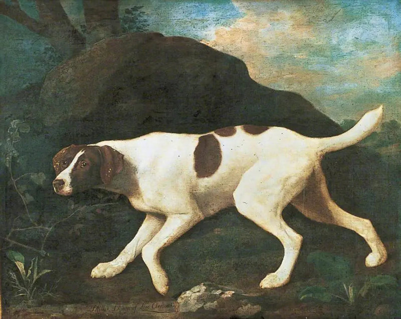 Phillis', un puntero de Lord Clermont - George Stubbs