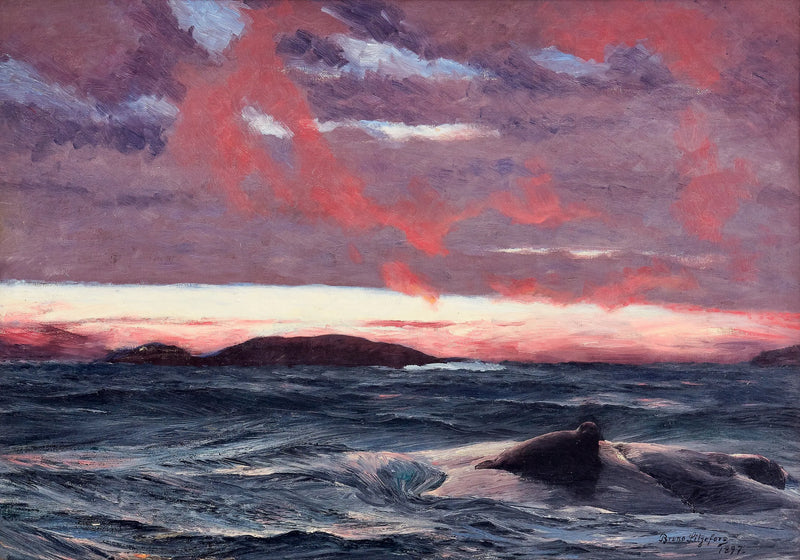 Foca en una pequeña isla al atardecer - Bruno Liljefors