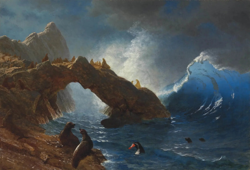 Focas en las rocas - Albert Bierstadt
