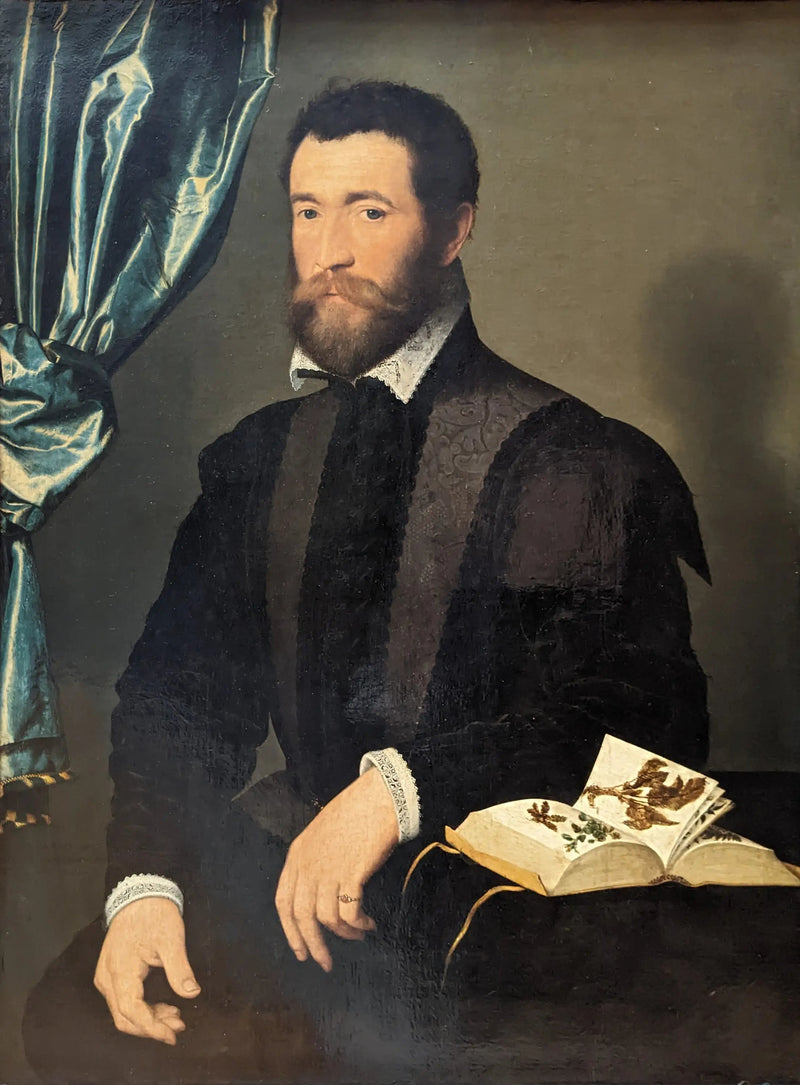 Pierre Quthe, boticario - François Clouet