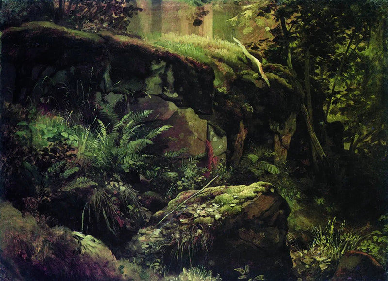 Piedras en el bosque. Valaam - Ivan Chichkine