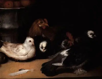 Palomas y aves de corral - Francisco de Goya