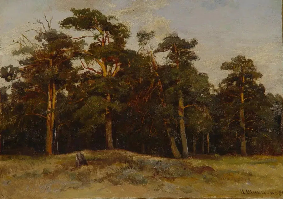 Pines - Ivan Chichkine