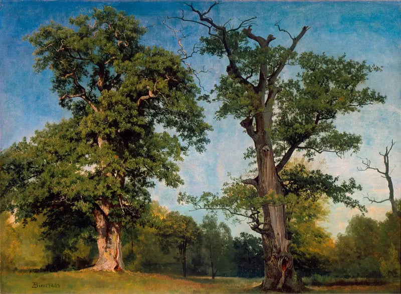 Pioneros de los bosques, California - Albert Bierstadt