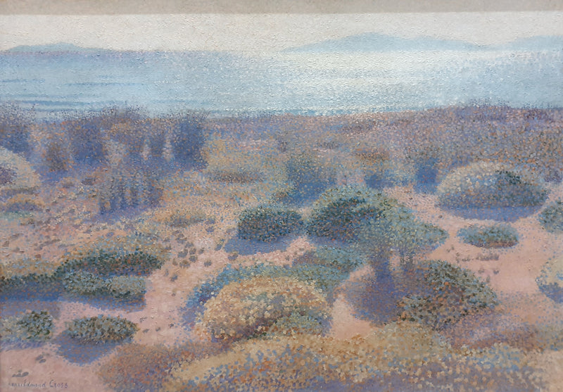 Playa de la Vignasse, las Islas de Oro - Henri-Edmond Cross