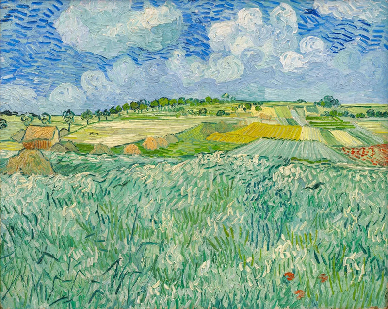 Llanura cerca de Auvers - Vincent van Gogh