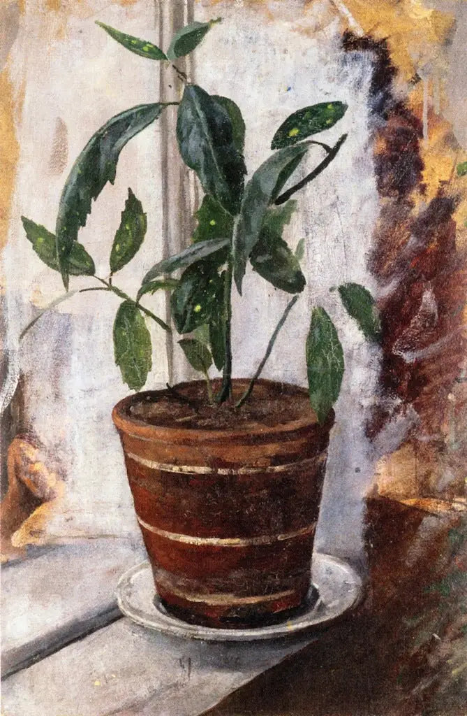 Planta en maceta en el alféizar de la ventana - Edvard Munch