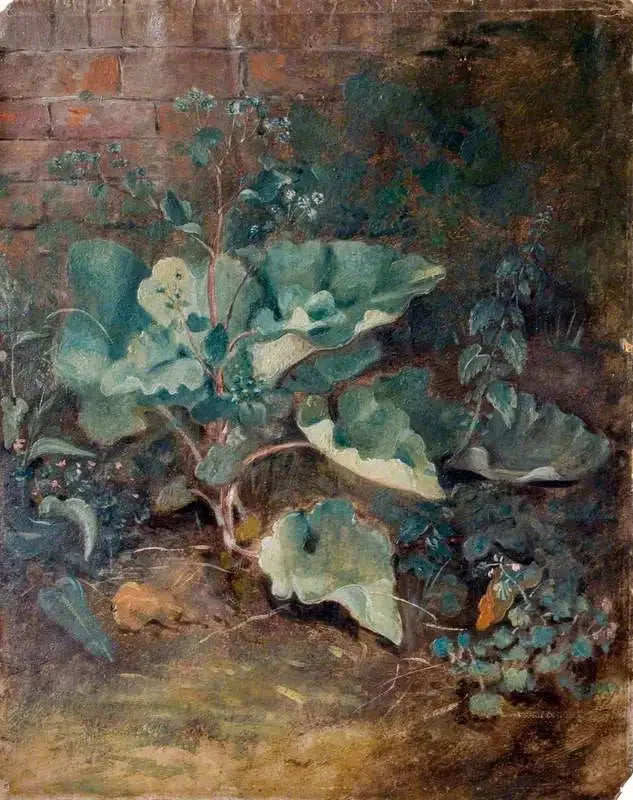 Plantas creciendo cerca de una pared - John Constable