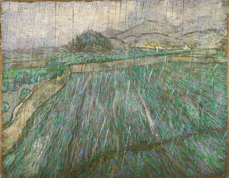 Campo mojado bajo la lluvia - Vincent van Gogh