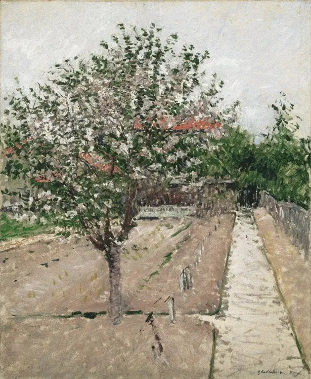 Manzano en flores - Gustave Caillebotte