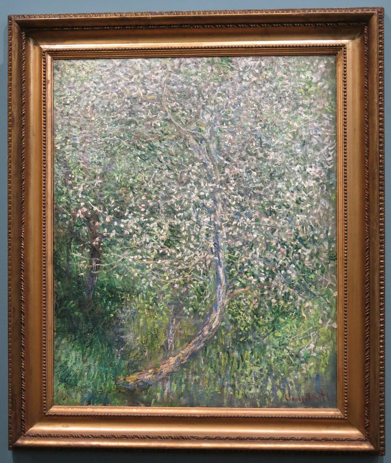 Manzano en flor junto al agua W585 - Claude Monet