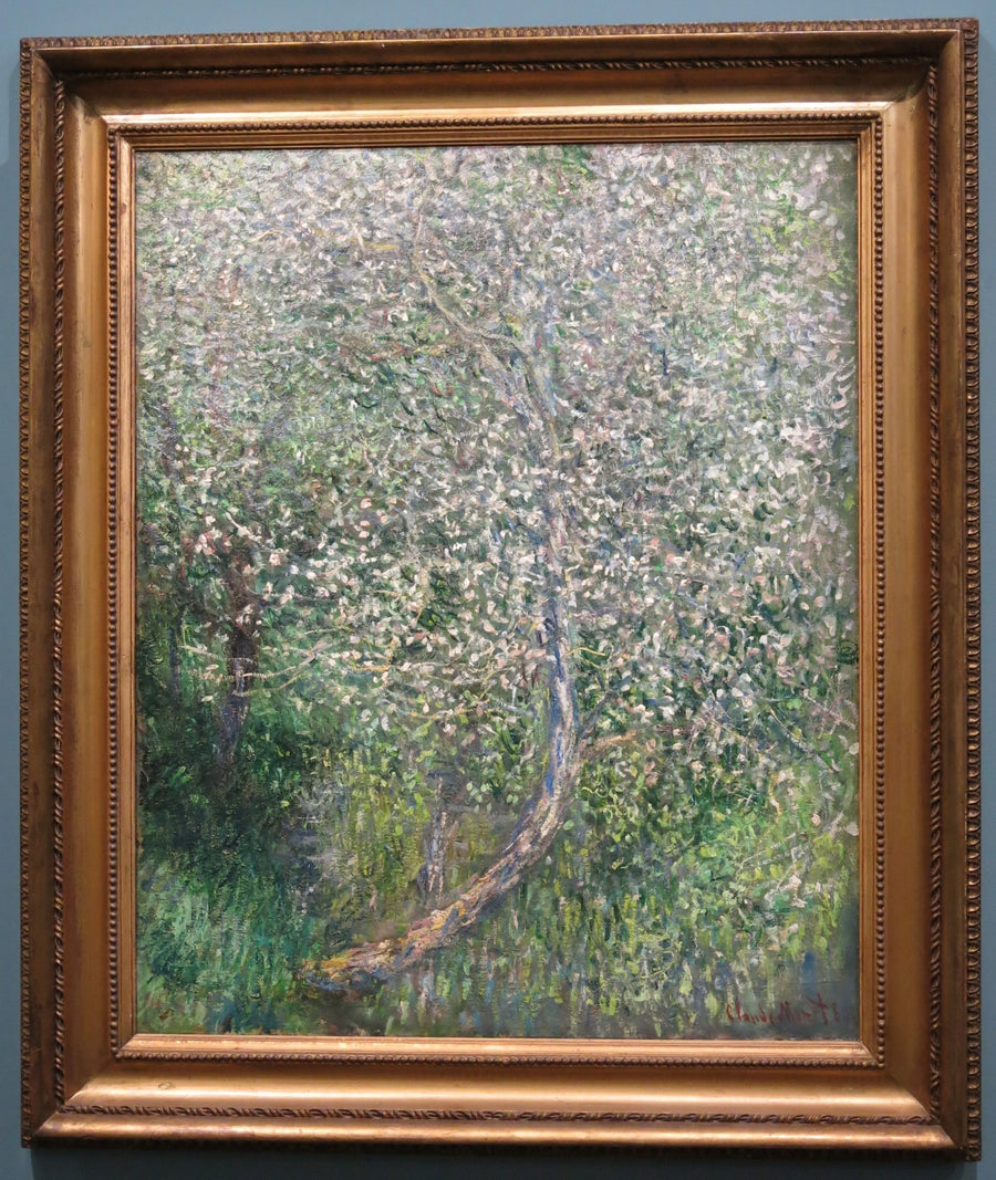 Manzano en flor junto al agua W585 - Claude Monet