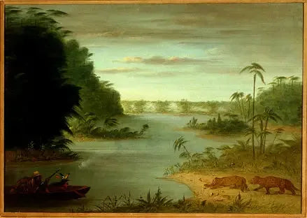Puente de Palmiers y Tiro al Tigre - George Catlin