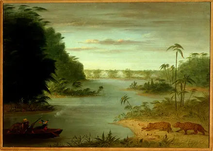 Puente de Palmiers y Tiro al Tigre - George Catlin