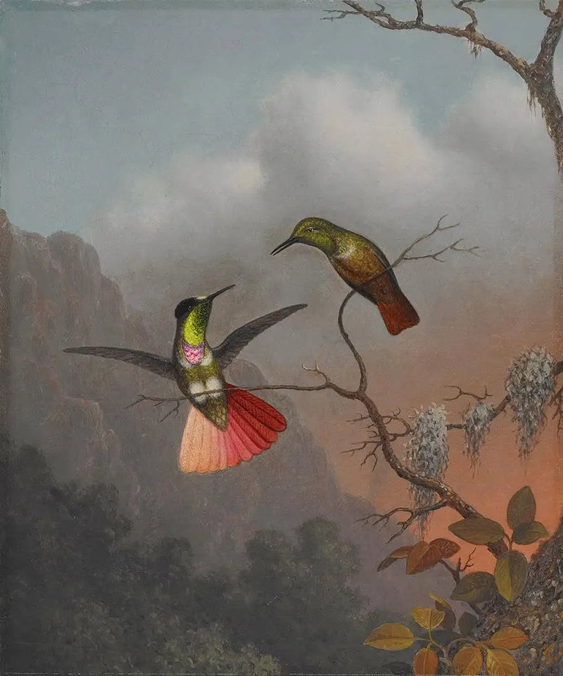 Portador de visera con capucha - Martin Johnson Heade