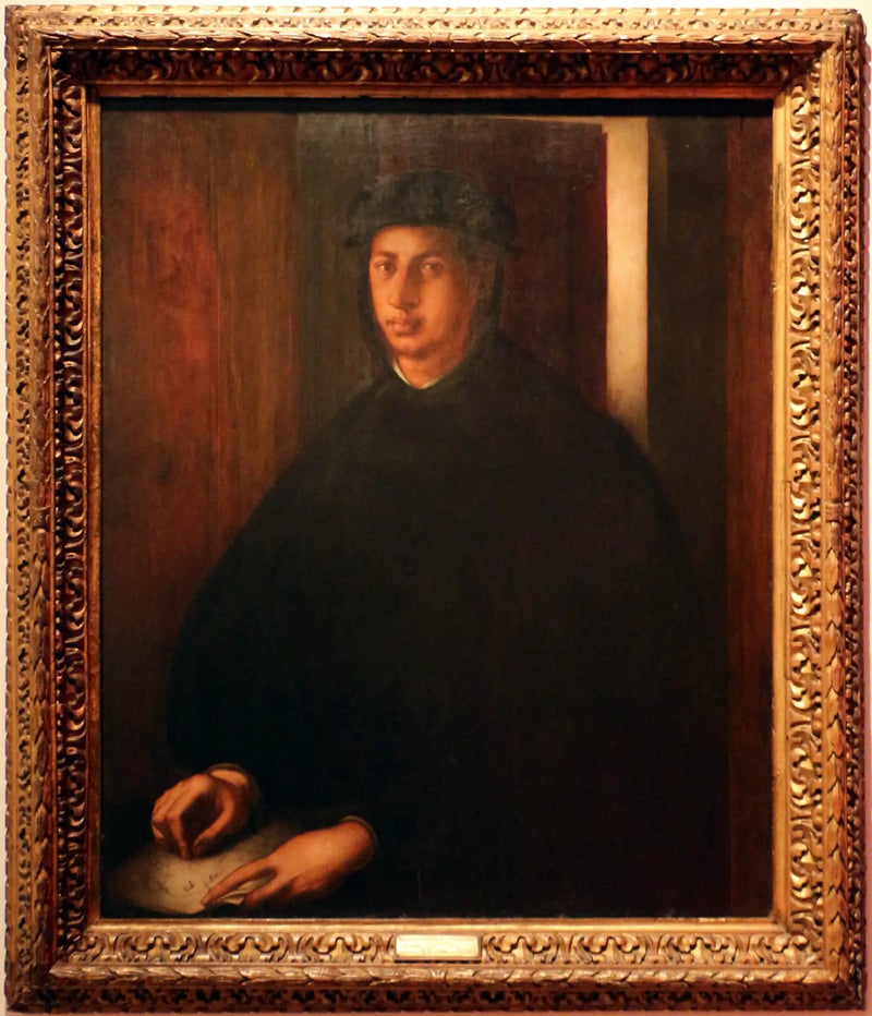 Retrato de Alejandro de Médici - Pontormo