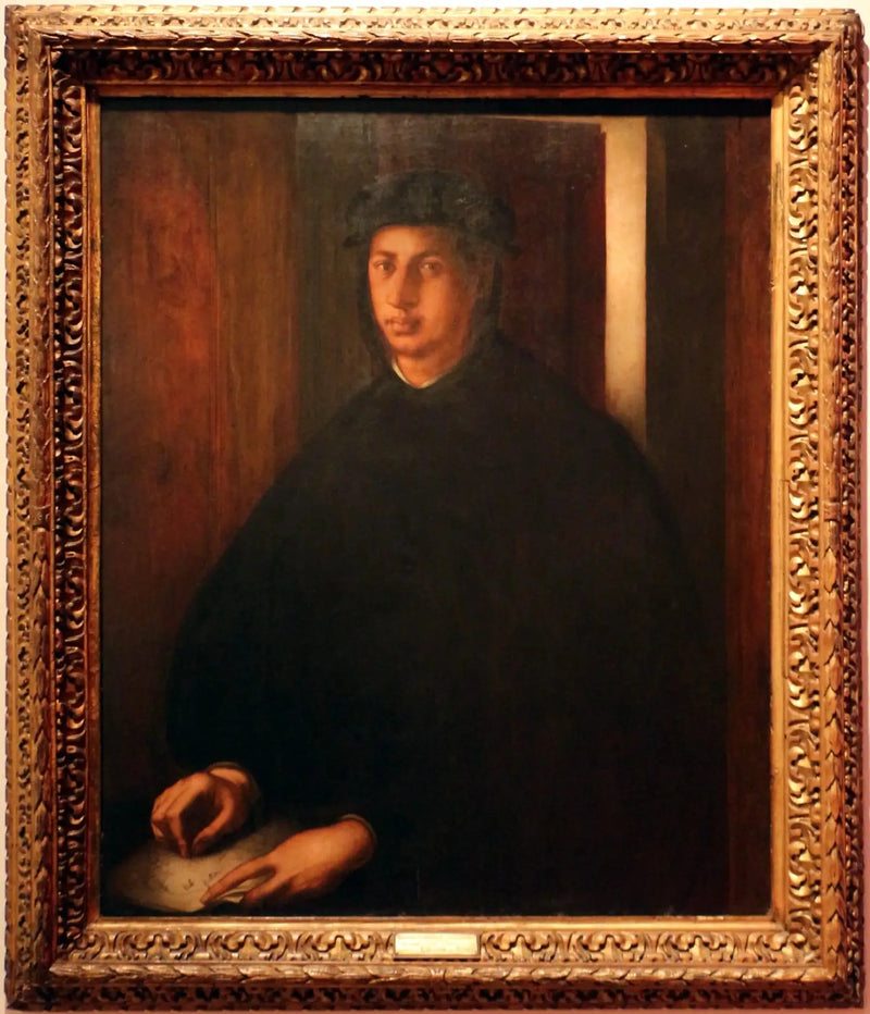 Retrato de Alejandro de Médici - Pontormo