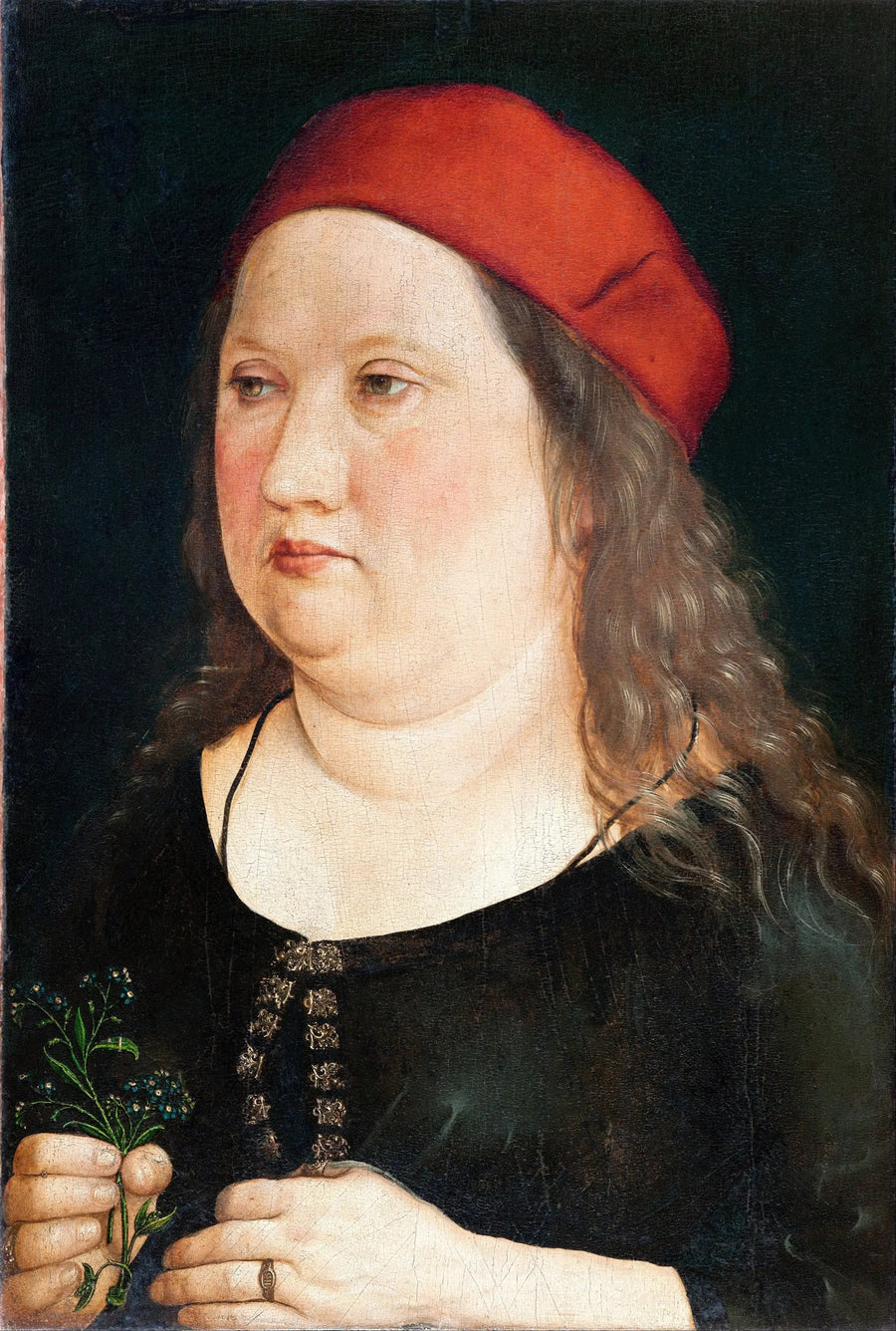 Retrato de un hombre - Albrecht Dürer